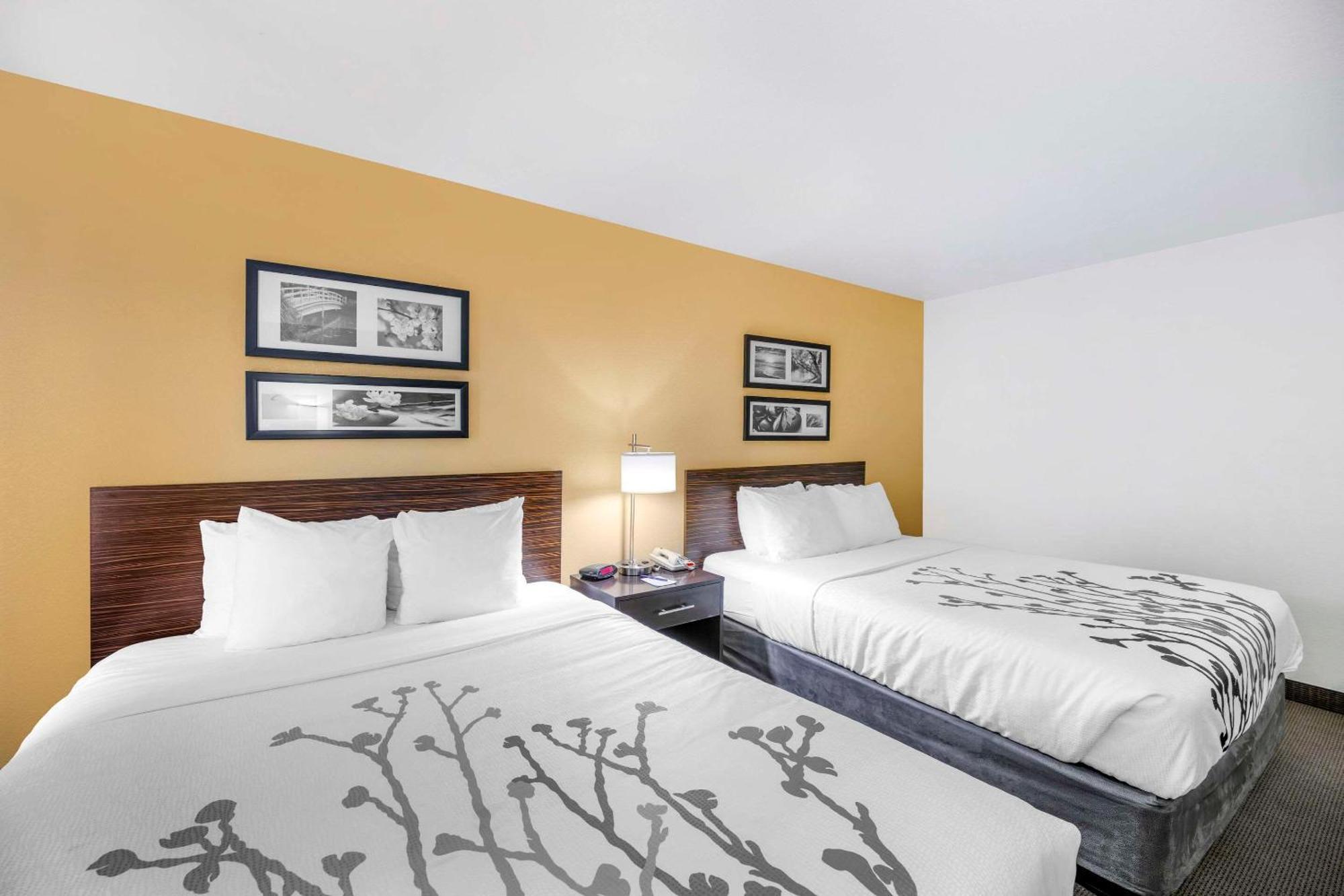 Sleep Inn & Suites Carlsbad Caverns Area Bagian luar foto